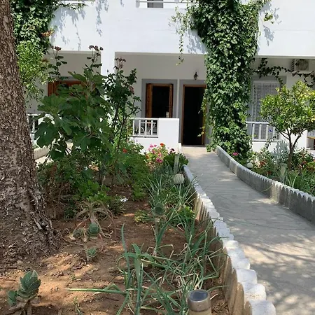Отель Hotel Perama